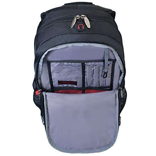 Gallery Preview Image - 2