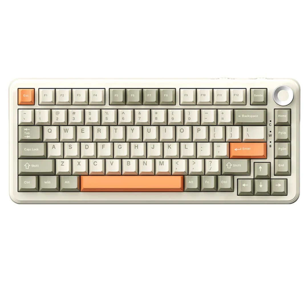 Ajazz AK820 MAX Plus Tri-Mode Wireless Mechanical Keyboard, Retro-Flying Fish
